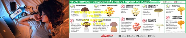 mix Болхов
