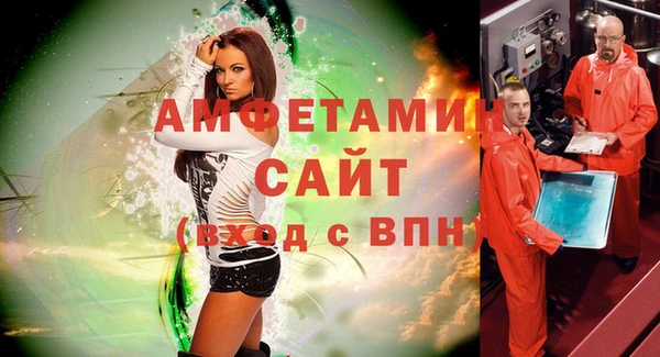 амф Новозыбков