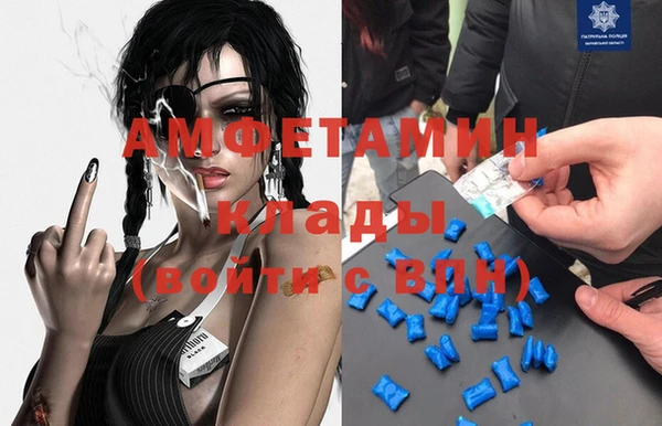 амф Новозыбков