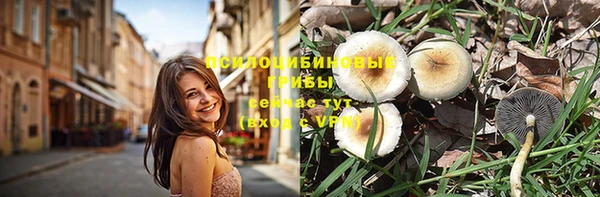 амф Новозыбков
