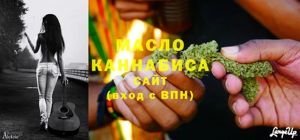 твердый Новодвинск