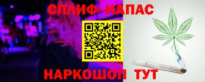 гашик Волжский
