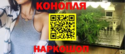 гашик Волжский