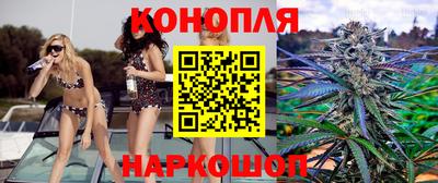 гашик Волжский
