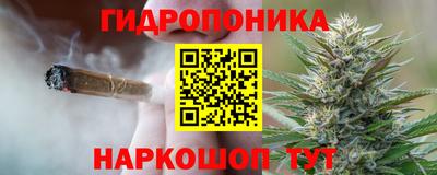 гашик Волжский