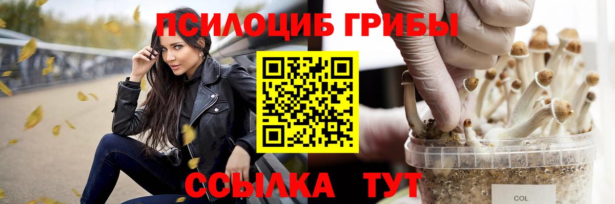 Галлюциногенные грибы MAGIC MUSHROOMS  Псилоцибиновые грибы MAGIC MUSHROOMS  Светлоград 