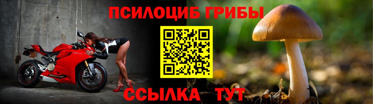 Галлюциногенные грибы ЛСД Светлоград