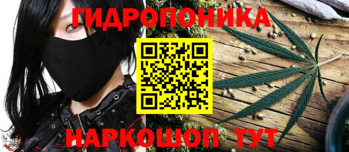 Марихуана конопля Светлоград